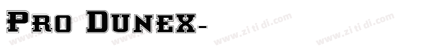 Pro Dunex字体转换